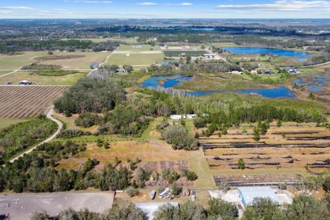 Land in Clermont, Florida № 1581241 - photo 24