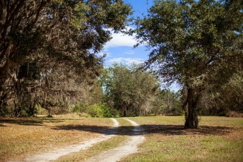 Land in Clermont, Florida № 1581241 - photo 7
