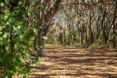 Land in Clermont, Florida № 1581241 - photo 11
