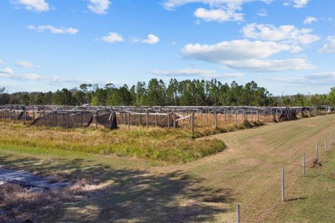 Land in Clermont, Florida № 1581241 - photo 20