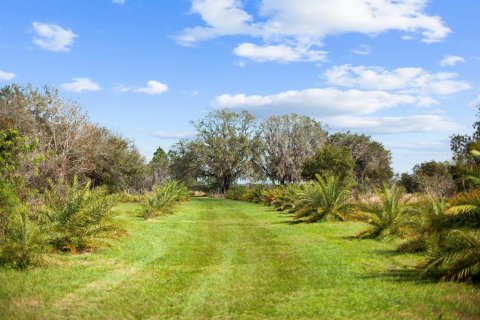 Land in Clermont, Florida № 1581241 - photo 12