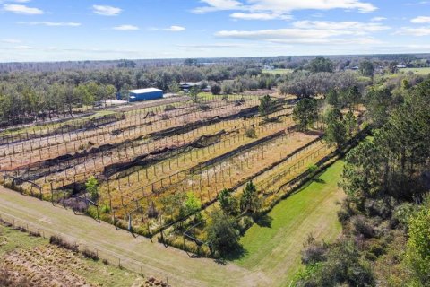 Land in Clermont, Florida № 1581241 - photo 17