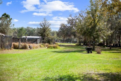 Land in Clermont, Florida № 1581241 - photo 30