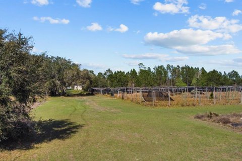 Land in Clermont, Florida № 1581241 - photo 16