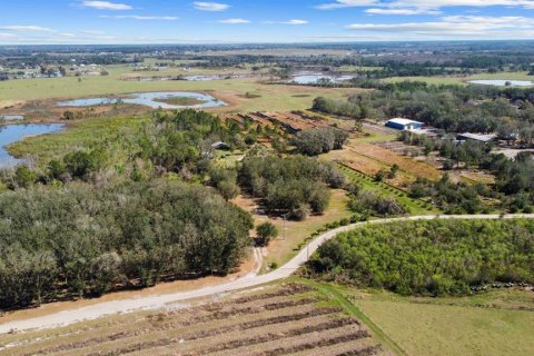 Land in Clermont, Florida № 1581241 - photo 23