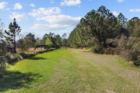 Land in Clermont, Florida № 1581241 - photo 18