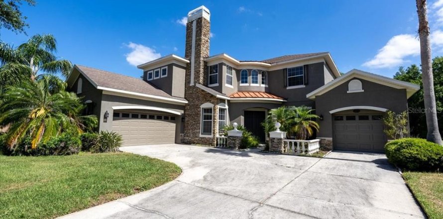 Villa ou maison à Lutz, Floride 5 chambres, 366.31 m2 № 1666182