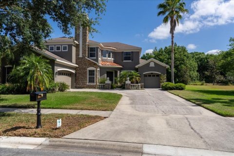 Villa ou maison à vendre à Lutz, Floride: 5 chambres, 366.31 m2 № 1666182 - photo 3