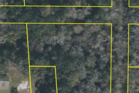 Land in Mims, Florida № 2162493 - photo 5