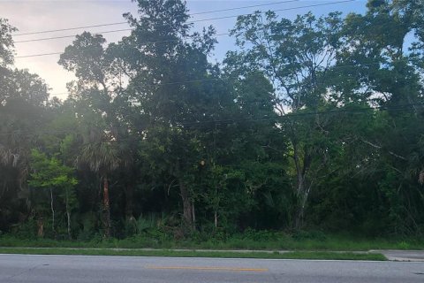 Land in Mims, Florida № 2162493 - photo 4