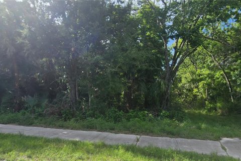 Land in Mims, Florida № 2162493 - photo 7