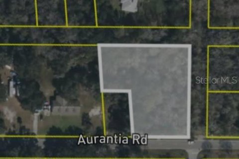 Land in Mims, Florida № 2162493