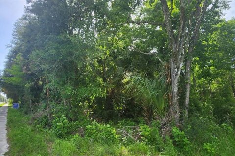 Land in Mims, Florida № 2162493 - photo 2