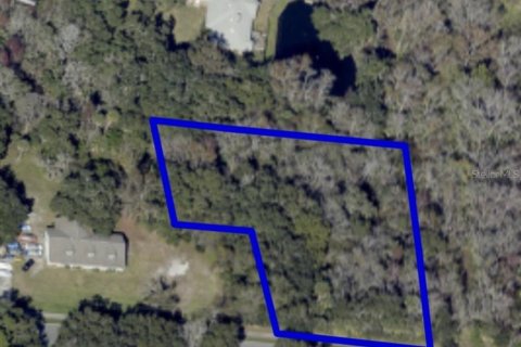 Land in Mims, Florida № 2162493 - photo 9