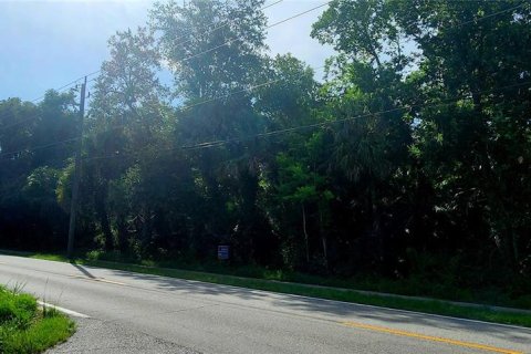 Land in Mims, Florida № 2162493 - photo 3
