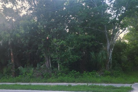 Land in Mims, Florida № 2162493 - photo 6