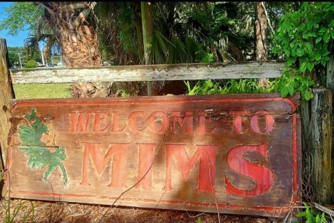 Land in Mims, Florida № 2162493 - photo 8