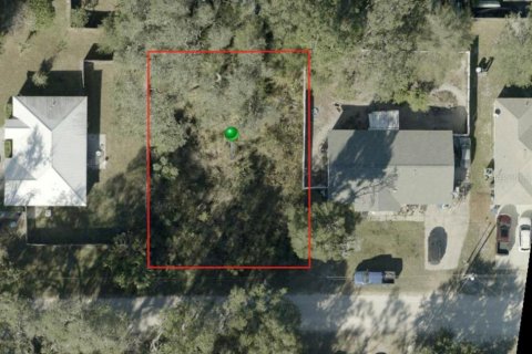 Land in Orange City, Florida № 2214674 - photo 4