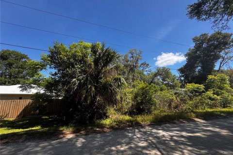 Land in Orange City, Florida № 2214674 - photo 7