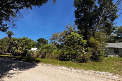Land in Orange City, Florida № 2214674 - photo 8
