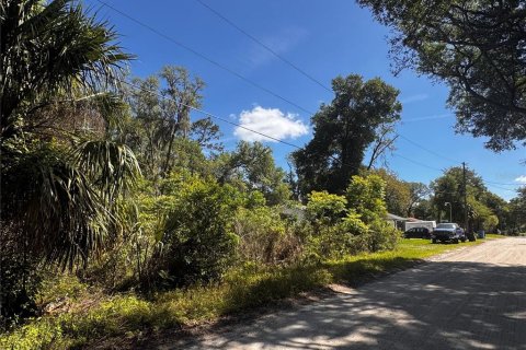 Land in Orange City, Florida № 2214674 - photo 6