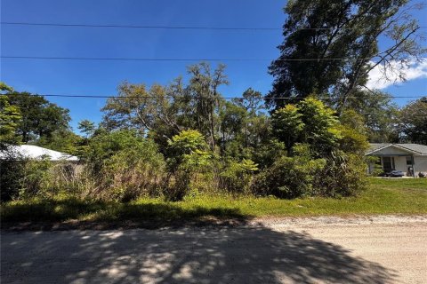 Land in Orange City, Florida № 2214674 - photo 9