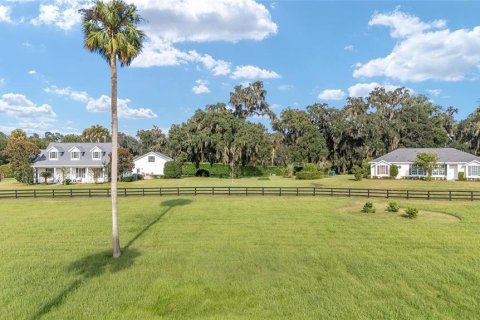 House in Ocala, Florida 9 bedrooms, 528.15 sq.m. № 2104959 - photo 2