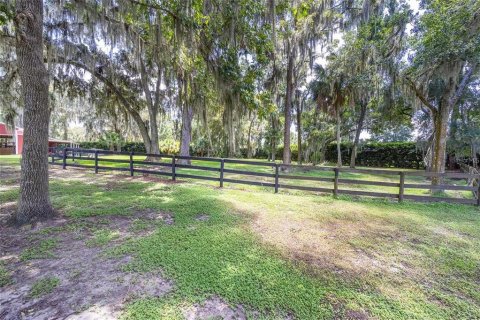 House in Ocala, Florida 9 bedrooms, 528.15 sq.m. № 2104959 - photo 15