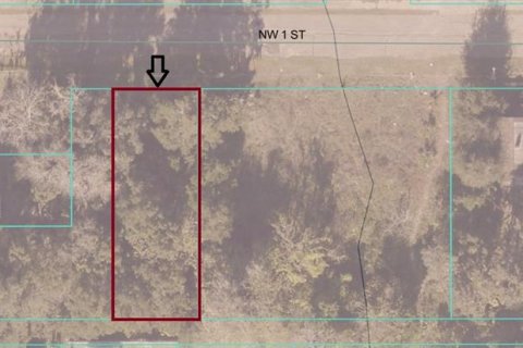 Land in Ocala, Florida № 2159922