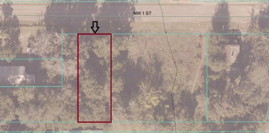 Land in Ocala, Florida № 2159922