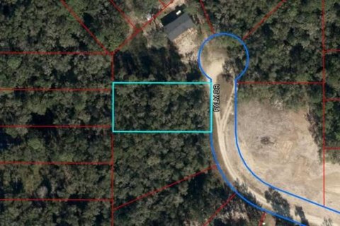 Land in Bronson, Florida № 2160495
