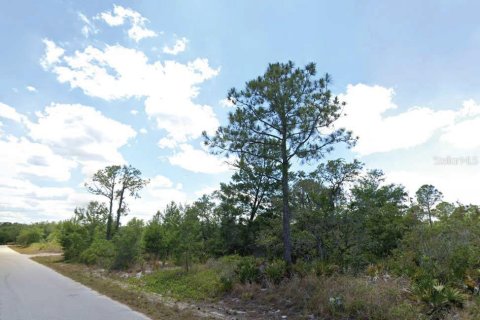 Land in Lake Placid, Florida № 2214366