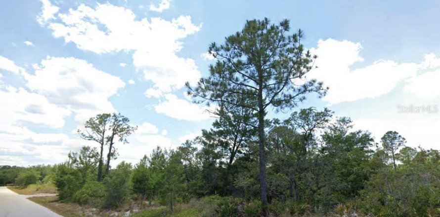 Land in Lake Placid, Florida № 2214366