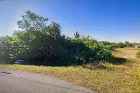 Terrain à vendre à Lehigh Acres, Floride № 2022472 - photo 4