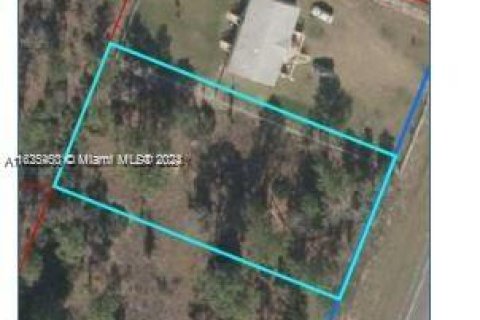 Land in Williston, Florida № 1702451 - photo 1