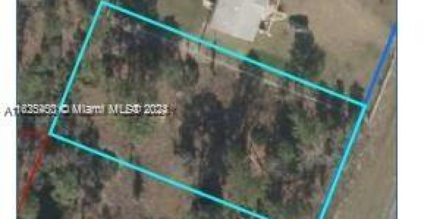 Land in Williston, Florida № 1702451