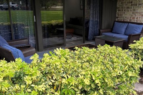 Studio in the Condo in Palm Harbor, Florida  № 1744330 - photo 6