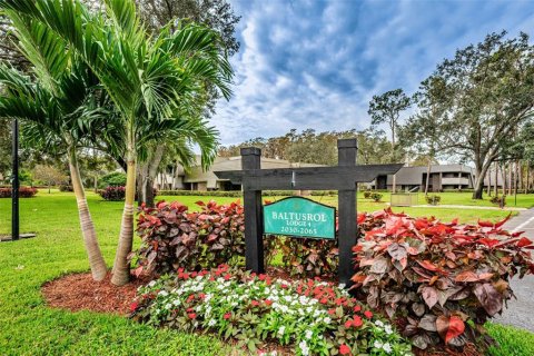 Studio in the Condo in Palm Harbor, Florida  № 1744330 - photo 3