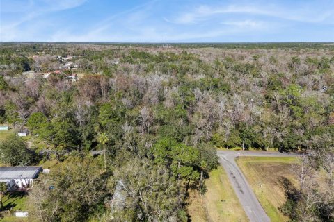 Terreno en venta en Orlando, Florida № 2205870 - foto 3