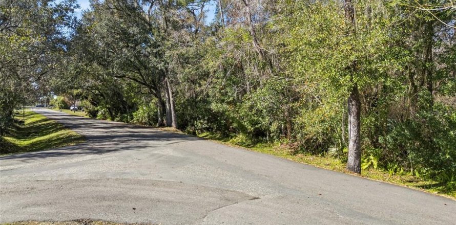 Terreno en Orlando, Florida № 2205870