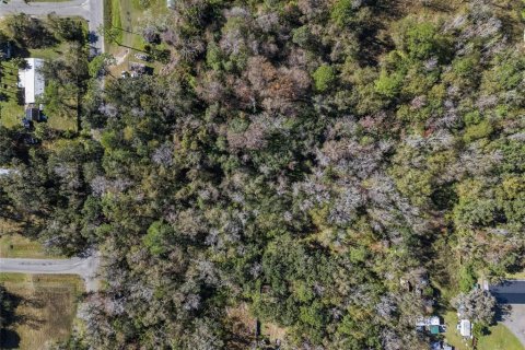 Terreno en venta en Orlando, Florida № 2205870 - foto 8