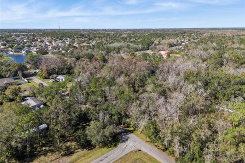 Terreno en venta en Orlando, Florida № 2205870 - foto 2