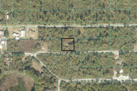 Land in Umatilla, Florida № 2162728
