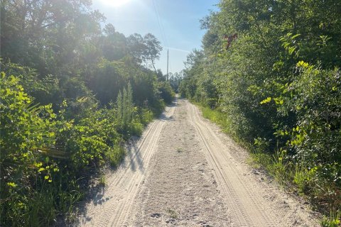 Land in Umatilla, Florida № 2162728 - photo 3