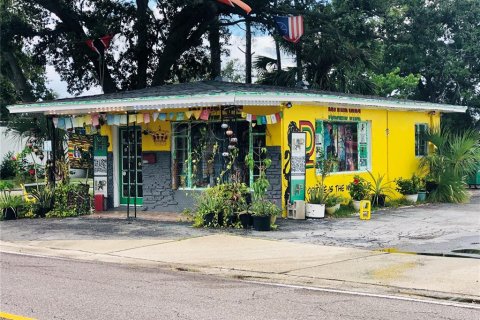 Immobilier commercial à vendre à Clearwater, Floride: 232.16 m2 № 1904134 - photo 4