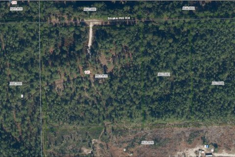 Land in Crescent City, Florida № 1884988 - photo 2