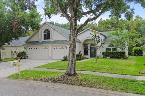 House in Tampa, Florida 5 bedrooms, 255.48 sq.m. № 2341775 - photo 3