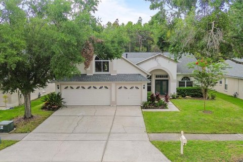 House in Tampa, Florida 5 bedrooms, 255.48 sq.m. № 2341775