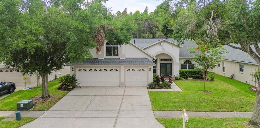 House in Tampa, Florida 5 bedrooms, 255.48 sq.m. № 2341775