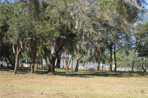 Terreno en Tampa, Florida № 2211161
